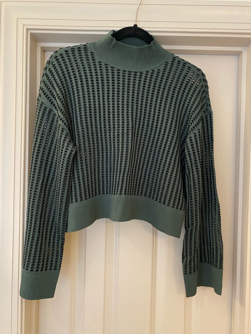 Jonathan Simkhai S Sage Green Cropped High-Neck Sweater with Fringed Back
